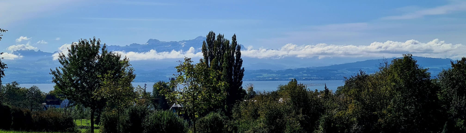 Bodensee-Bergsicht_202409